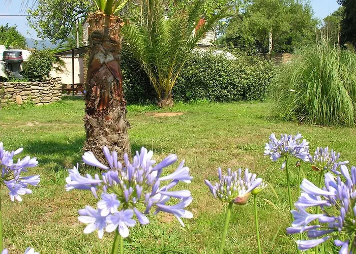 In Moriani-plage Near סן-ניקולאו