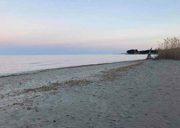 In Moriani-plage Near *