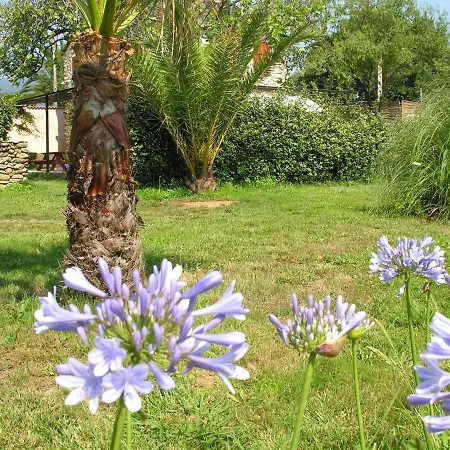Spacious With Pool San-Nicolao
