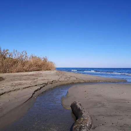 In Moriani-plage Near 別荘 *